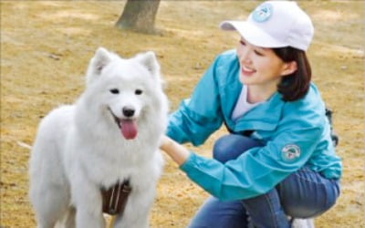 급할 때 필요한 '펫시터' 손쉽게 고용