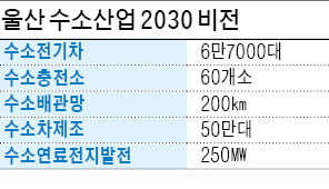 송철호 시장 "경제자유구역 날개 단 울산, 동북아 수소산업 중심될 것"