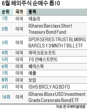 애플·MS…미국 주식 쓸어담는 불개미들