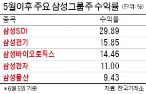 SDI 끌고, 삼바 밀고…삼성그룹주 펀드 '훨훨'