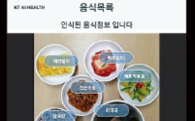 KT "당뇨환자 식단 관리 AI가 척척"