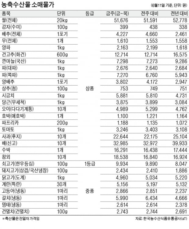 감자 출하량 증가…1주일만에 가격 9% '뚝' 