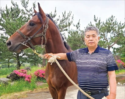 "경마 중단에 말 농가 붕괴 직면…3개월 더 지속땐 줄폐업 불가피"