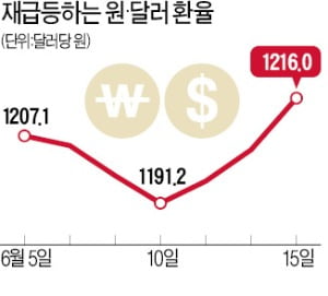 원·달러 환율 다시 1200원 넘어…"환율 변동성 대비해야"