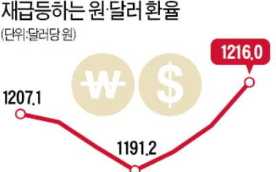 원·달러 환율 다시 1200원 넘어…"환율 변동성 대비해야"