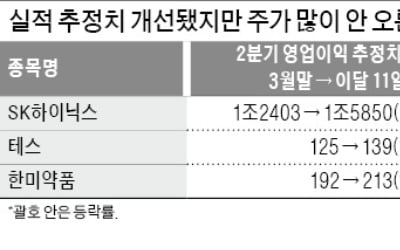 SK하이닉스·테스·한미약품…'빛 못본' 실적 유망株