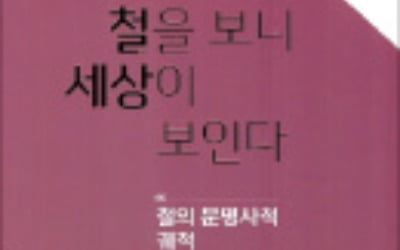  지구에서 가장 흔한 금속…인류발전 이끈 '철의 역사'