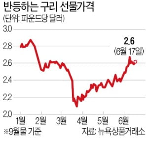 구리값 가파른 회복…들썩이는 풍산·쎄미시스코