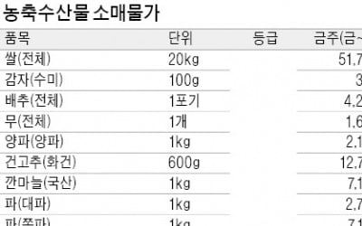 1인 가구 '미니수박' 선호…큰 수박 가격 연일 하락