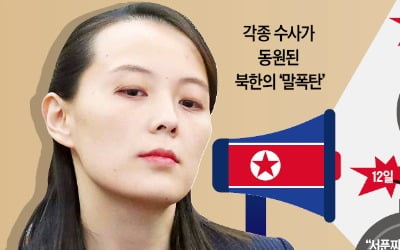 "짖는 똥개" "요사 떨더니"…'말폭탄' 전담작가까지 둔 北