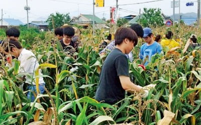 두루미평화마을, 환경부가 꼽은 청정지역…쌀 재배·병영 체험 재미