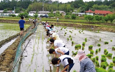 합전마을, 낮엔 갯벌·바지락 칼국수 체험, 해질녘 마량포구서 해넘이 감상을