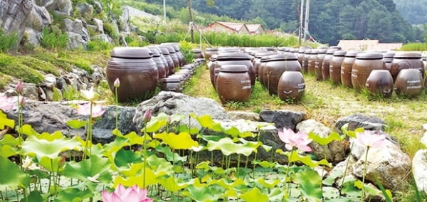 장독대마을, '삼시세끼' 체험 관광객 연 1만명 이상 몰려