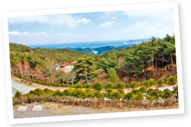 대관령·칠보산·남해편백·화문산…초록빛 힐링 공간 휴양림서 '숲콕'