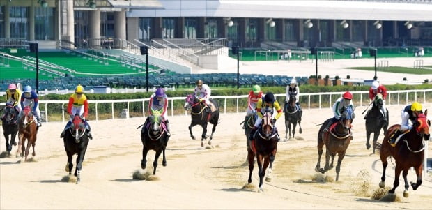 [포토] 코로나 뚫고 '말 달리자'…4개월 만에 무관중 경마