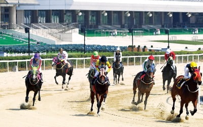  코로나 뚫고 '말 달리자'…4개월 만에 무관중 경마