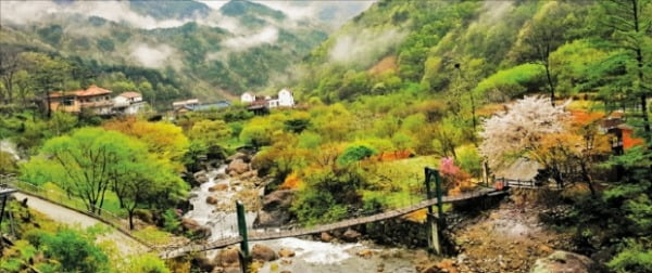 의신베어빌리지마을, 아이들은 반달가슴곰 만나고…엄마·아빠는 서산대사길서 '힐링'