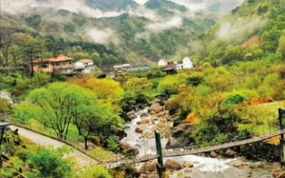 의신베어빌리지마을, 아이들은 반달가슴곰 만나고…엄마·아빠는 서산대사길서 '힐링'