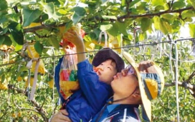 빗돌배기마을, 수박·방울토마토 직접 따 맛보고…비석치기·국궁·투호 등 전통놀이