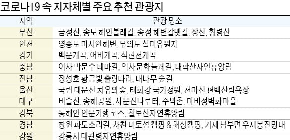 차박 캠핑 해볼까, 편백 산림욕 즐길까…집콕 생활에 지친 당신, 떠나라!