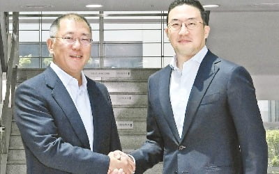 정의선-구광모 '전기차 배터리 첫 회동'