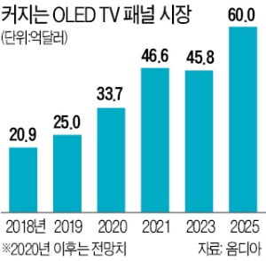 TV용 OLED 한국 독주 막으려는 몸부림…中·日 뭉쳤다