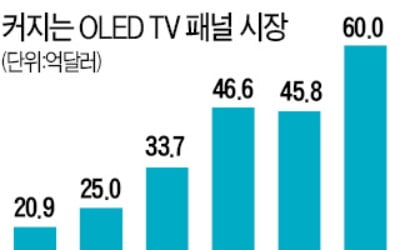 TV용 OLED 한국 독주 막으려는 몸부림…中·日 뭉쳤다