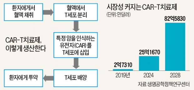 말기 혈액암 아이 살린 'CAR-T' 국산화 시동