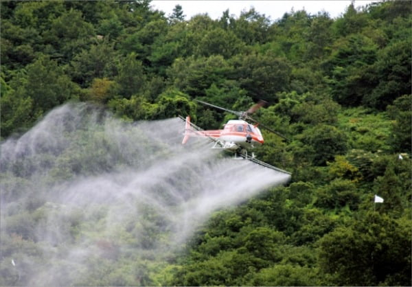 산림청 방제헬기가 소나무재선충병 확산을 방지하기 위해 방제하고 있는 모습.  산림청 제공 