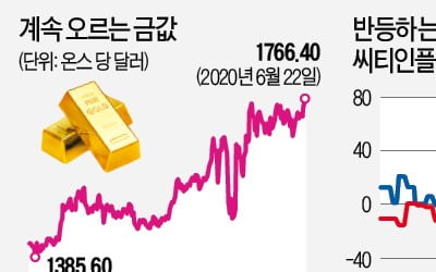 '인플레 베팅'하는 큰손들…금값 8년만에 최고