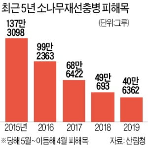 산림청 "드론·QR코드 활용…비접촉 산림보호"