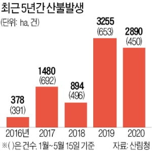 산림청 "스마트 CCTV로 야간화재 조기감지"