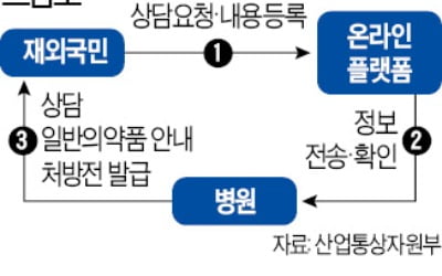 해외 주재원·유학생 원격진료…국내 병원서 처방전 발급