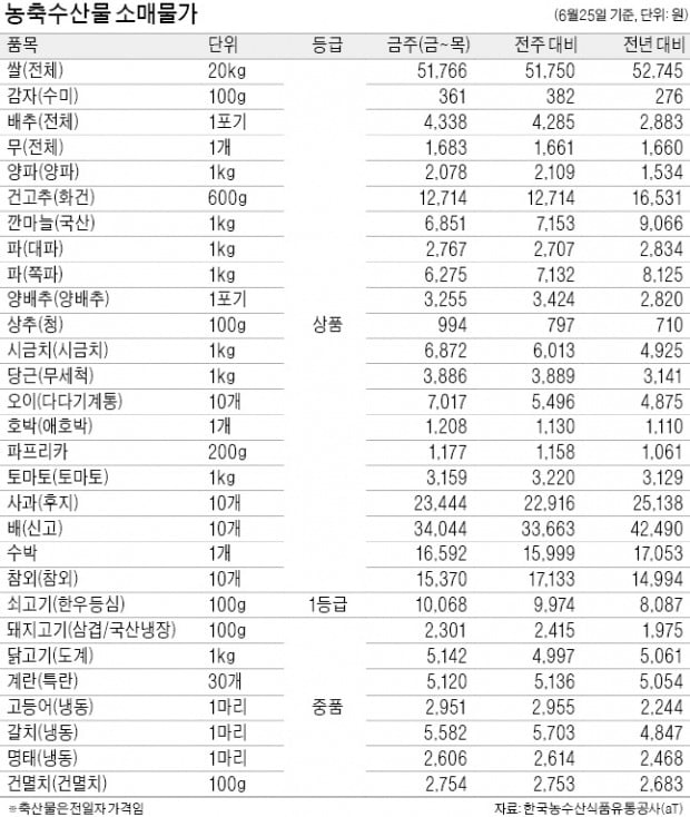 오이 수확량 감소, 1주일새 가격 27%↑…10개당 7017원에 거래