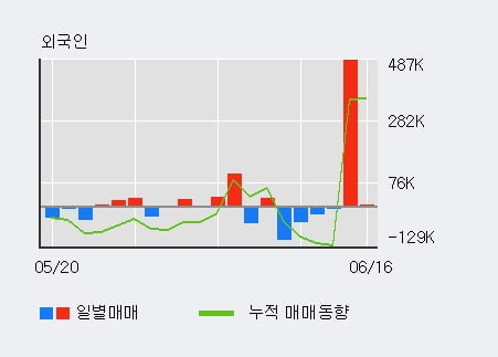 '미스터블루' 52주 신고가 경신, 전일 기관 대량 순매수