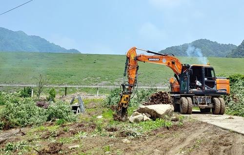 충주 사과밭 덮친 과수화상병…누적신고 200건 넘어(종합)