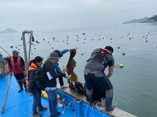 완도군, 다시마·톳 등 해조류 친환경 양식 국제 인증 박차