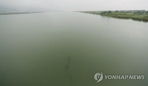 예년보다 기온 높은 여름철…정부, 녹조 예방·감시 대책 마련