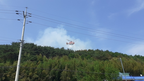 울산 북구 야산서 불…산림 1천여㎡ 소실