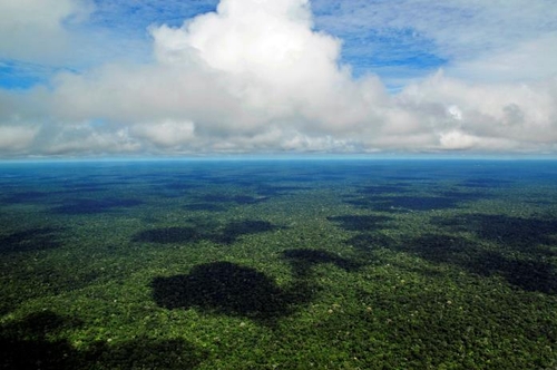 아마존 열대우림 보호 '녹색 브라질 작전' 1개월…가시적 성과