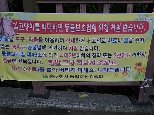 자꾸 버려지는 길고양이 급식소 사료들…동두천 경찰 수사