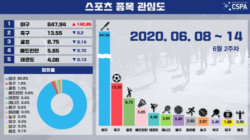 스포츠 종목 관심도 야구가 90% 압도적 1위…축구·골프 순서