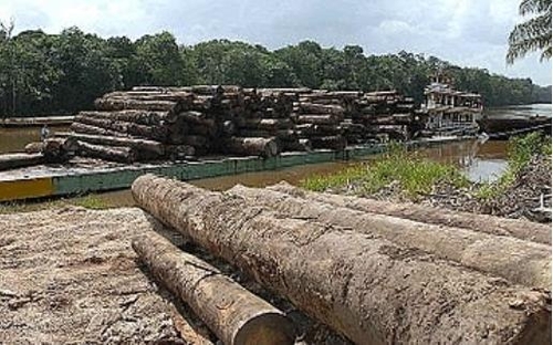 유럽 7개 투자회사, 아마존 열대우림 파괴 이유 투자 철회 경고