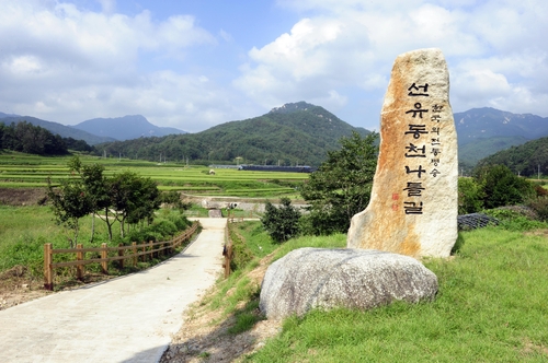 코로나19에 지친 심신 달래는 경북 숲길 산책