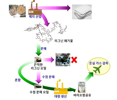 목재폐기물 '리그닌' 활용 바이오 항공유 대량생산 기술 개발