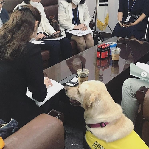 망가져야 뜬다…여의도 B컷·브이로그 전성시대