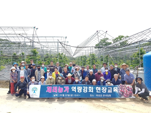 체리 주산지로 떠오르는 곡성군…미국산 수입품에 도전장