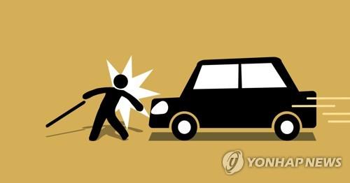 경기북부 교통사고 사망 노인 절반이 보행자…대책 추진