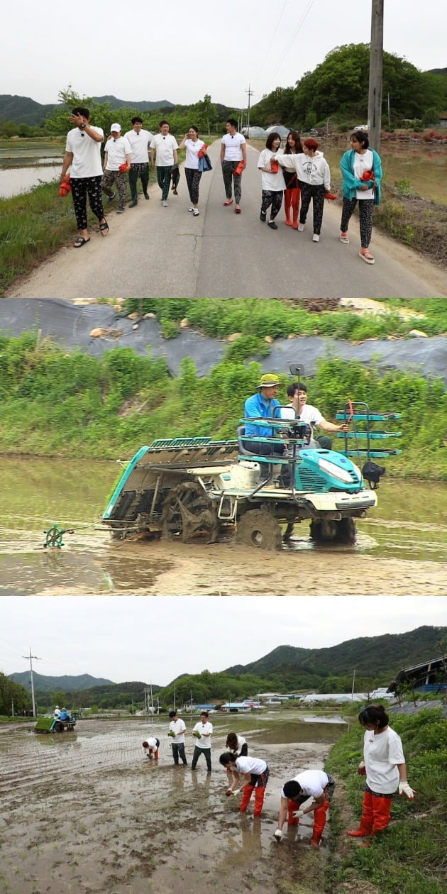 '불타는 청춘' 멤버들이 농촌 일손 돕기에 나섰다. / 사진제공=SBS