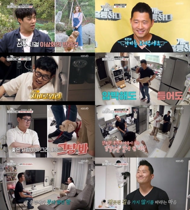 KBS2 예능 '개는 훌륭하다' 방송화면 캡처. 
